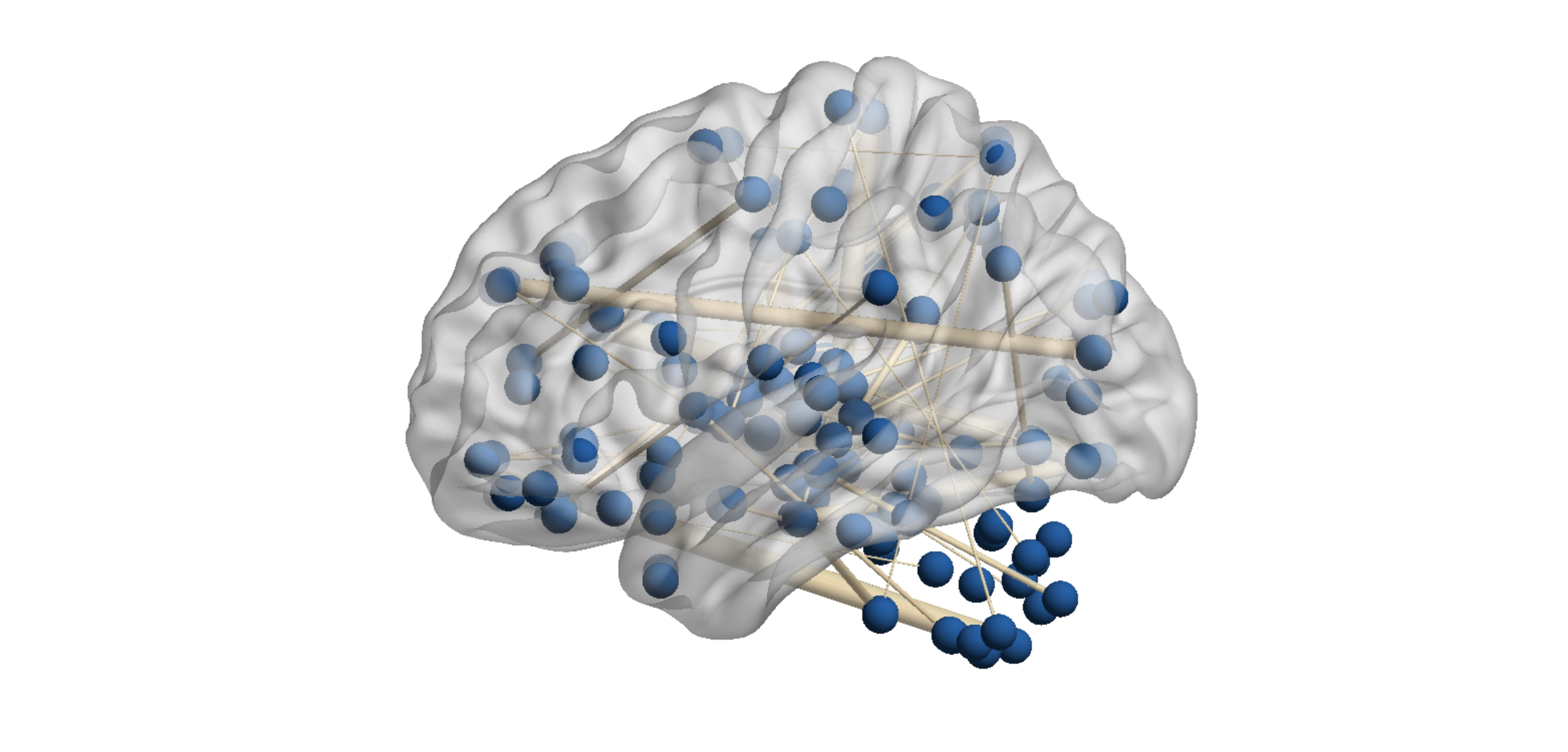 demo_fmri_wx